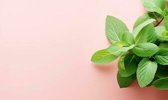 Close-up of fresh mint leaves. Created by AI photo
