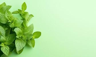 Close-up of fresh mint leaves. Created by AI photo