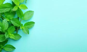 Fresh meadow mint leaves twig on a pastel blue background. Created by AI photo