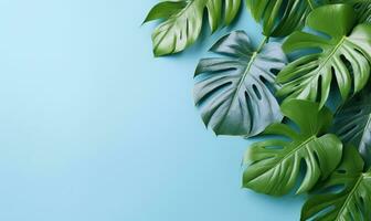 tropical monstera hojas en un pastel azul antecedentes. ai generativo foto