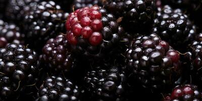 Vivid close-up of juicy blackberries. AI Generative photo