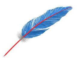 Blue feather with small white feathers and red core photo