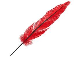 Red feather with black core photo