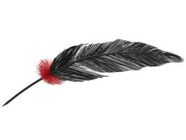 Pitch black feather with small red fluffy feathers photo