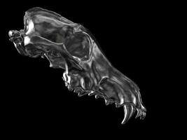 Dark metal wolf skull - upper jaw part only - side view photo