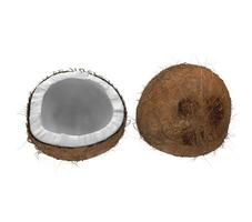 Coconuts Front View photo