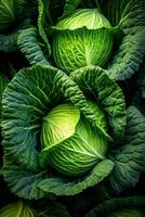 Realistic photo of a bunch of green cabbage. top view vegetables scenery. AI Generated