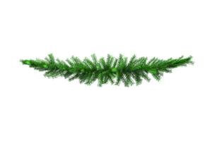 Christmas Decorations Pine Branch photo