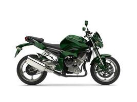 Beautiful metallic green modern sports motorcycle photo