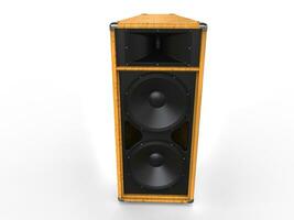 Big hifi speaker - wood finish photo