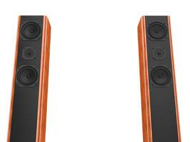 Two tall modern speakers with wood side panels photo