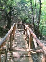 Wooden bridge path photo