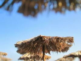 Straw beach umbrellas photo