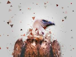 Cape Griffon Vulture - low poly effect - abstract illustration photo