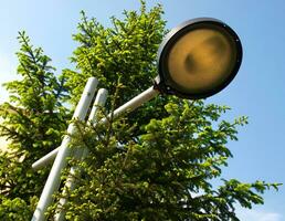 Modern lamp post amongst bright green spruce trees photo