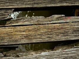 antiguo desgastado fuera madera tableros en un puente encima pequeño río foto