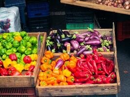 Vegetables in wooden crates photo