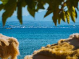 hermosa sealine visto mediante el palma arboles y playa chozas foto