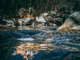 Mountain creek, closeup shot of the cool water photo