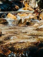 Clear fresh mountain stream in autumn photo