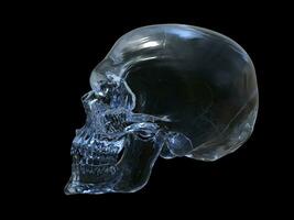 Crystal skull - side view - 3D Illustration photo