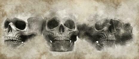 Skulls drawn on parchment - scroll - illustration photo
