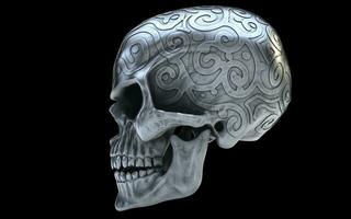 Ornamental dirty silver angry skull -  right side view photo