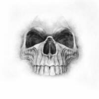 Hand drawn skull - graphite photo