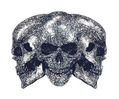 Highly detailed dark ink three skulls photo