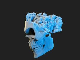 Cloud skull still forming all of its pieces photo