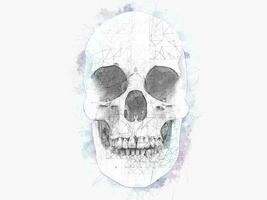 Human skull - water color and technical pencil drawing photo