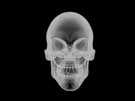 Skull - front view - x ray visual effect photo