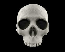 White skull with weather marks anno lower jaw photo