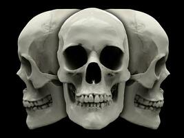 humano cráneo - frente y perfil foto