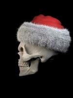 Grinning skull wearing a Santa hat - right side view photo