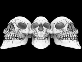 Three grinning skulls - extreme wide angle closeup shot photo