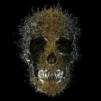 Abstract skull with gold vines and strands growing out of it photo