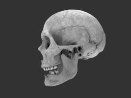 Old skull with broken teeth - side view - 3D Illustration photo