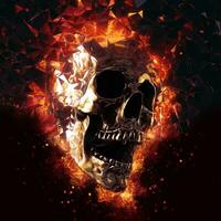 Screaming skull on fire coming through the mirror dimension photo