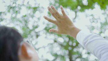 A man touches a bright leaf with his hand. video