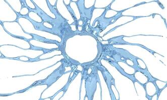 Cool circular water splash - closeup shot photo
