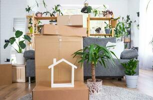 Boxes with things for moving and house plants are in the room of the new house. Housewarming, family property, cargo transportation and delivery of things photo