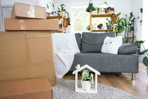 Boxes with things for moving and house plants are in the room of the new house. Housewarming, family property, cargo transportation and delivery of things photo