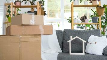 Boxes with things for moving and house plants are in the room of the new house. Housewarming, family property, cargo transportation and delivery of things photo