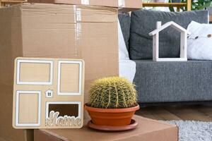 Boxes with things for moving and house plants are in the room of the new house. Housewarming, family property, cargo transportation and delivery of things photo