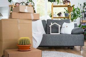 Boxes with things for moving and house plants are in the room of the new house. Housewarming, family property, cargo transportation and delivery of things photo