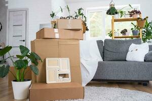 Boxes with things for moving and house plants are in the room of the new house. Housewarming, family property, cargo transportation and delivery of things photo