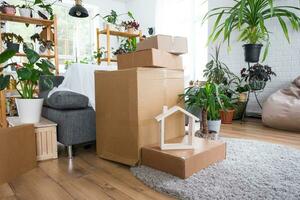 Boxes with things for moving and house plants are in the room of the new house. Housewarming, family property, cargo transportation and delivery of things photo