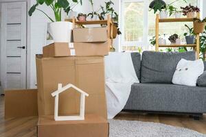 Boxes with things for moving and house plants are in the room of the new house. Housewarming, family property, cargo transportation and delivery of things photo