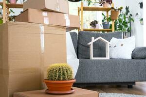 Boxes with things for moving and house plants are in the room of the new house. Housewarming, family property, cargo transportation and delivery of things photo